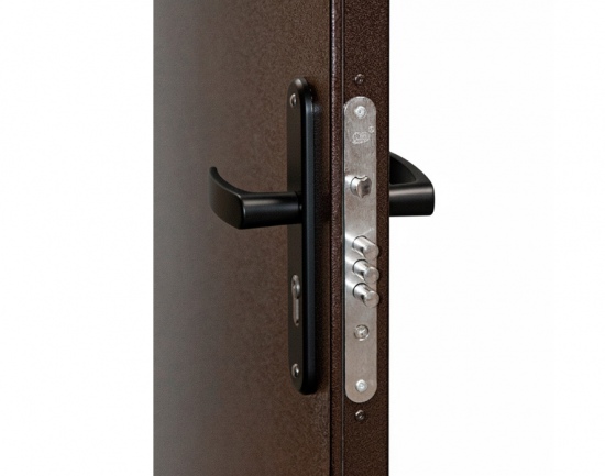 Металлическая дверь Профи PRO BMD
